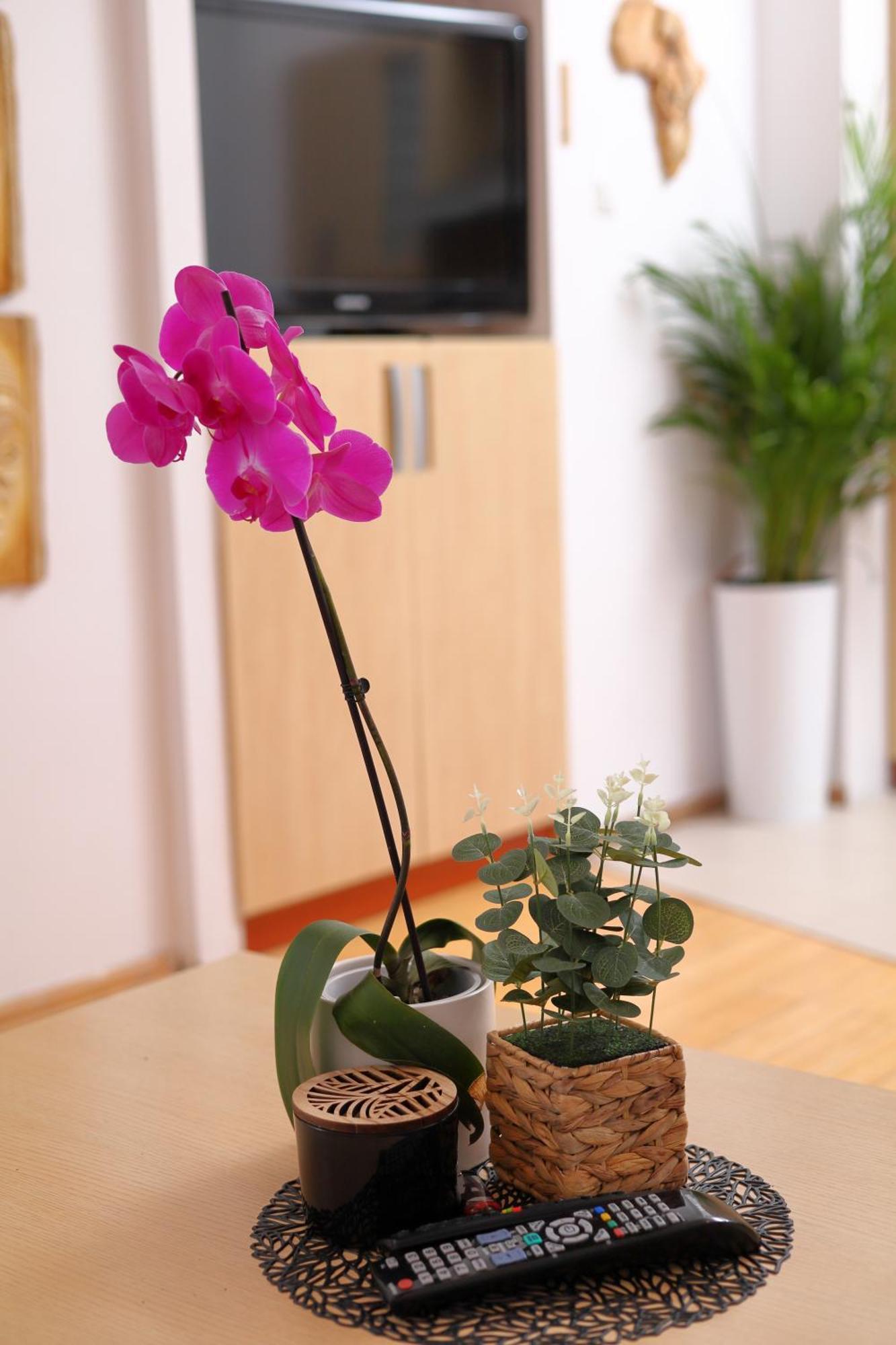 Apartament Sloneczny 5 Opolí Exteriér fotografie